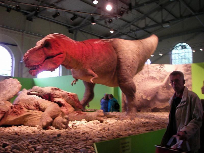 LV Zeltlager 2008 083.jpg